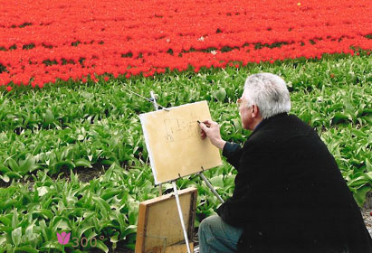Leo van den Ende aan het werk op een akker met tulpen